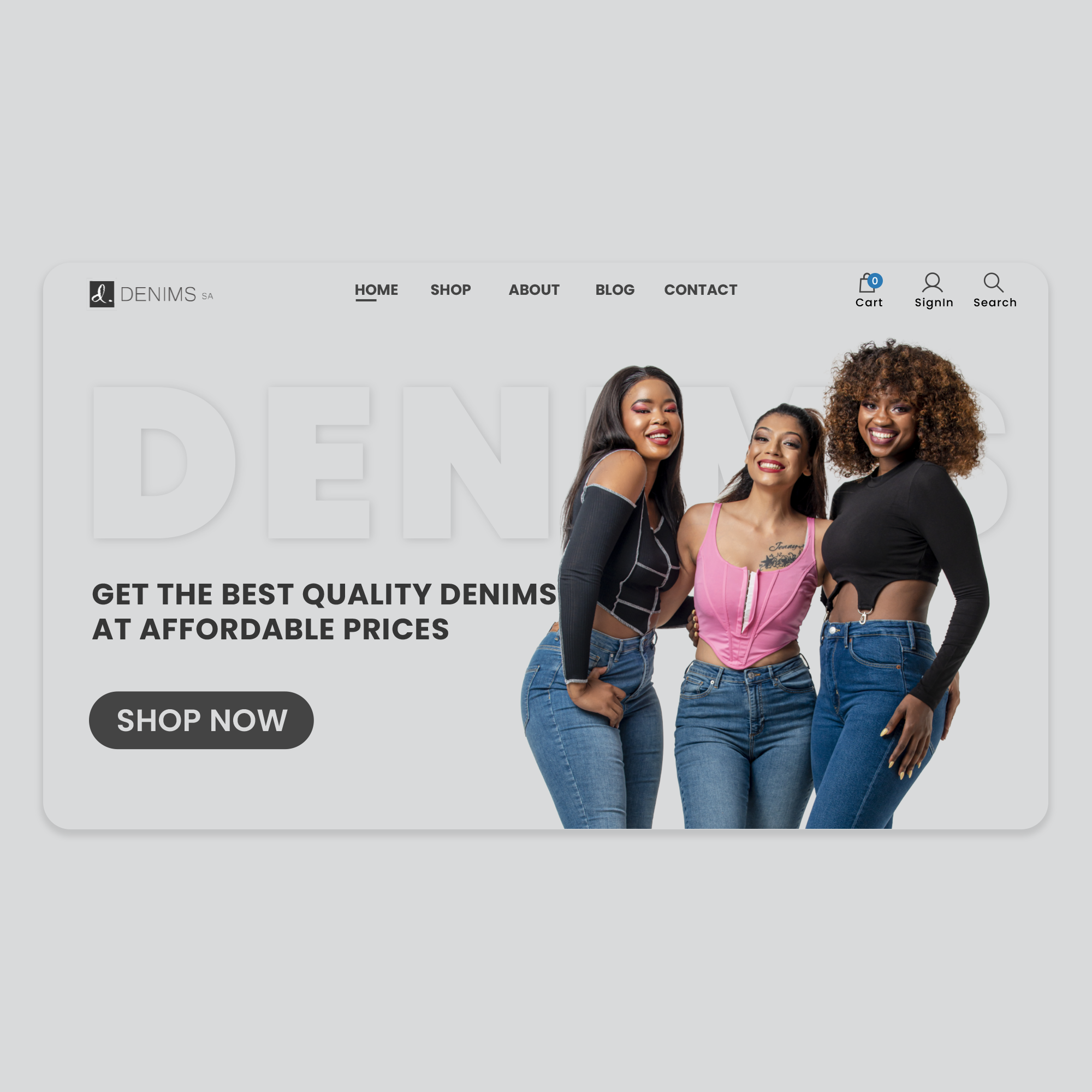 Website design project